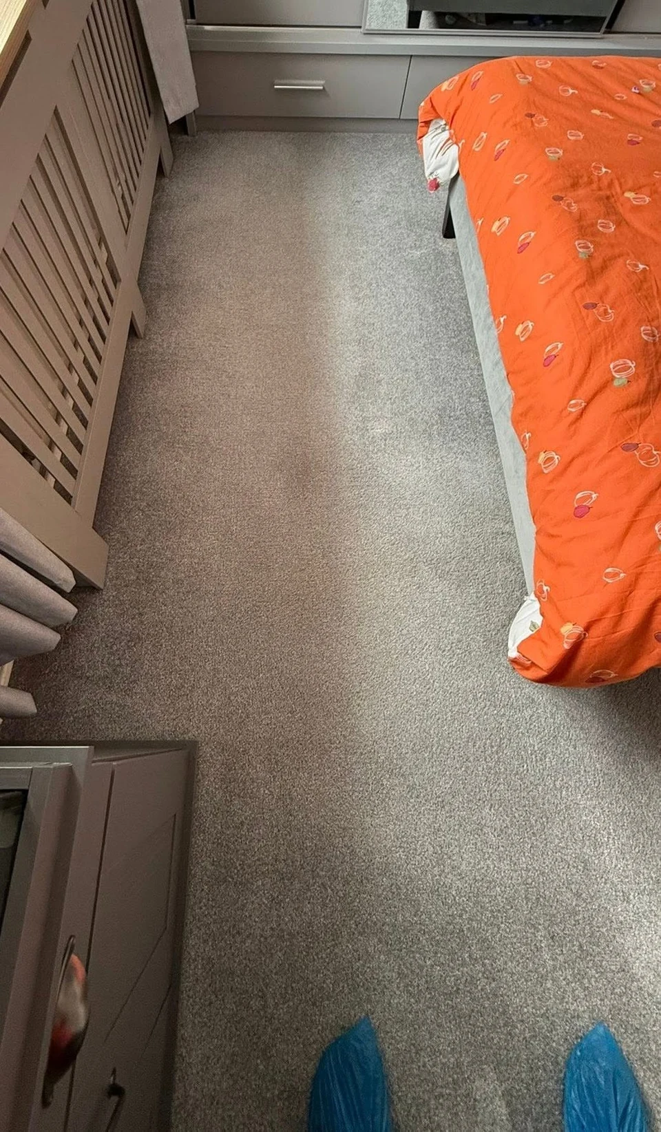 Carpet after professional cleaning – carpet cleaning in Haverhill by Dons Cleaning Services (photo 8)