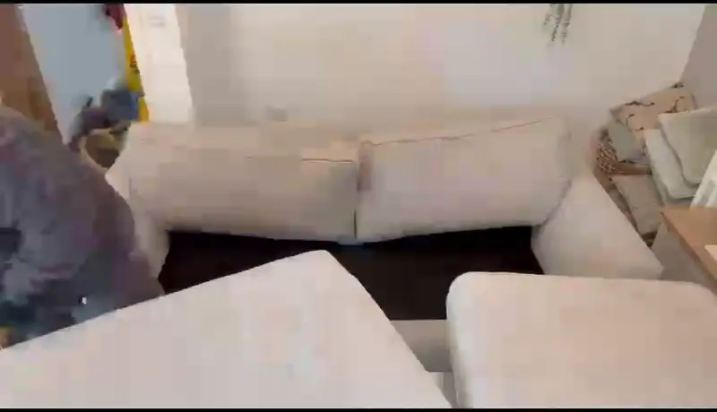 Sofa cleaning in action