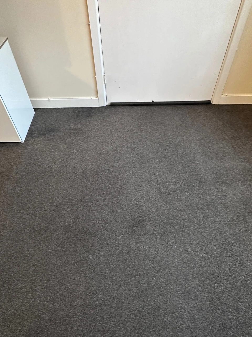 Carpet after professional cleaning – carpet cleaning in Haverhill by Dons Cleaning Services (photo 12)
