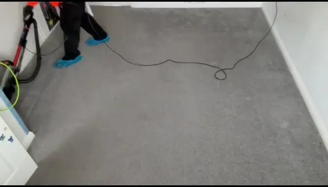 Room carpet cleaning