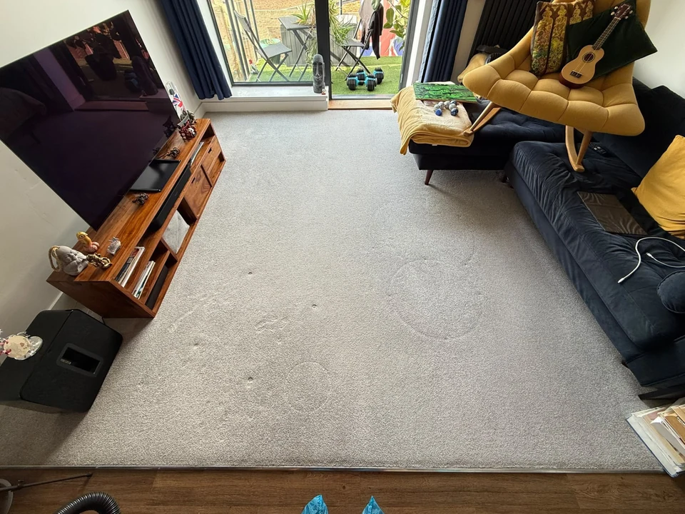 Carpet after professional cleaning – carpet cleaning in Haverhill by Dons Cleaning Services (photo 2)