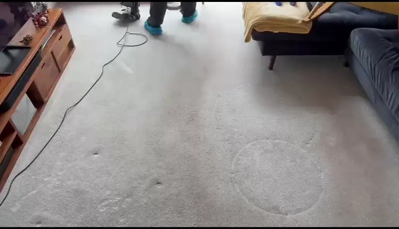 Living room carpet cleaning